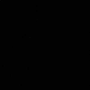 Meet your Posher, Michaela